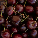 La Mia Deliziosa Casetta Di Giu *
