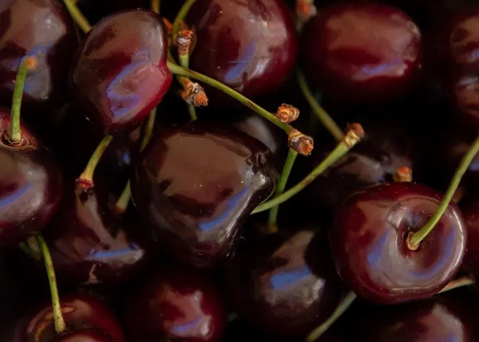 La Mia Deliziosa Casetta Di Giu *